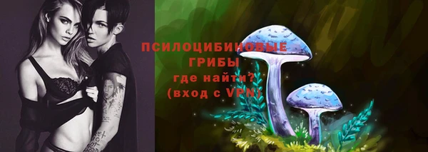 трава Александровское