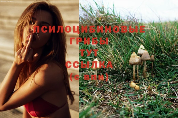 гашик Краснослободск