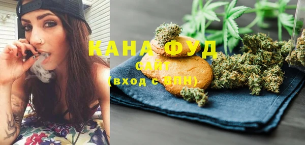 гашик Краснослободск