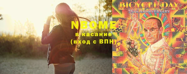гашик Краснослободск