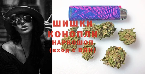 гашик Краснослободск