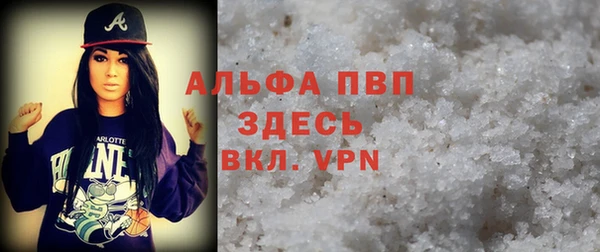 гашик Краснослободск