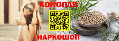 индика Ачхой-Мартан