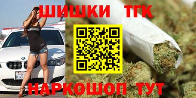 индика Ачхой-Мартан
