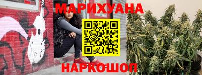 индика Аша