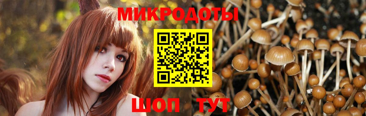 Псилоцибиновые грибы Psilocybe  Вход с VPN  Лобня 